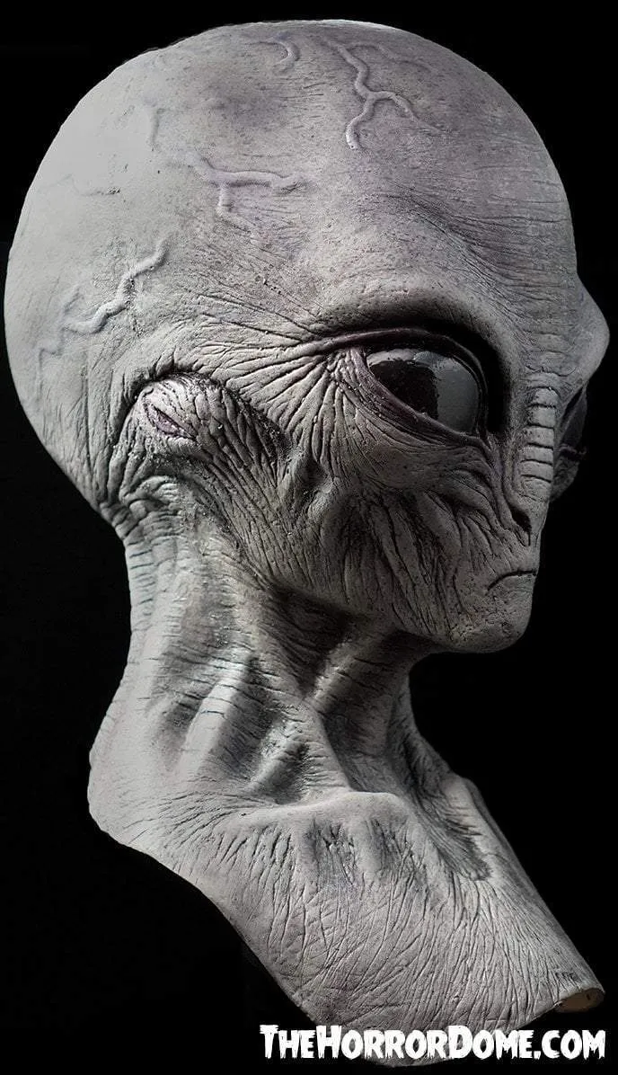 "Area 51 Alien" Mask