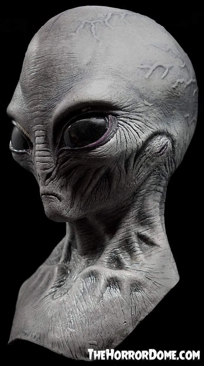 "Area 51 Alien" Mask