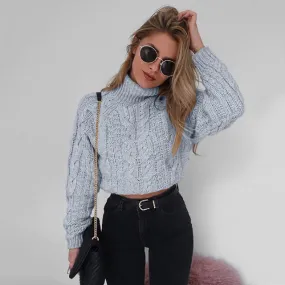 Warm Turtle neck crop fashion sweater