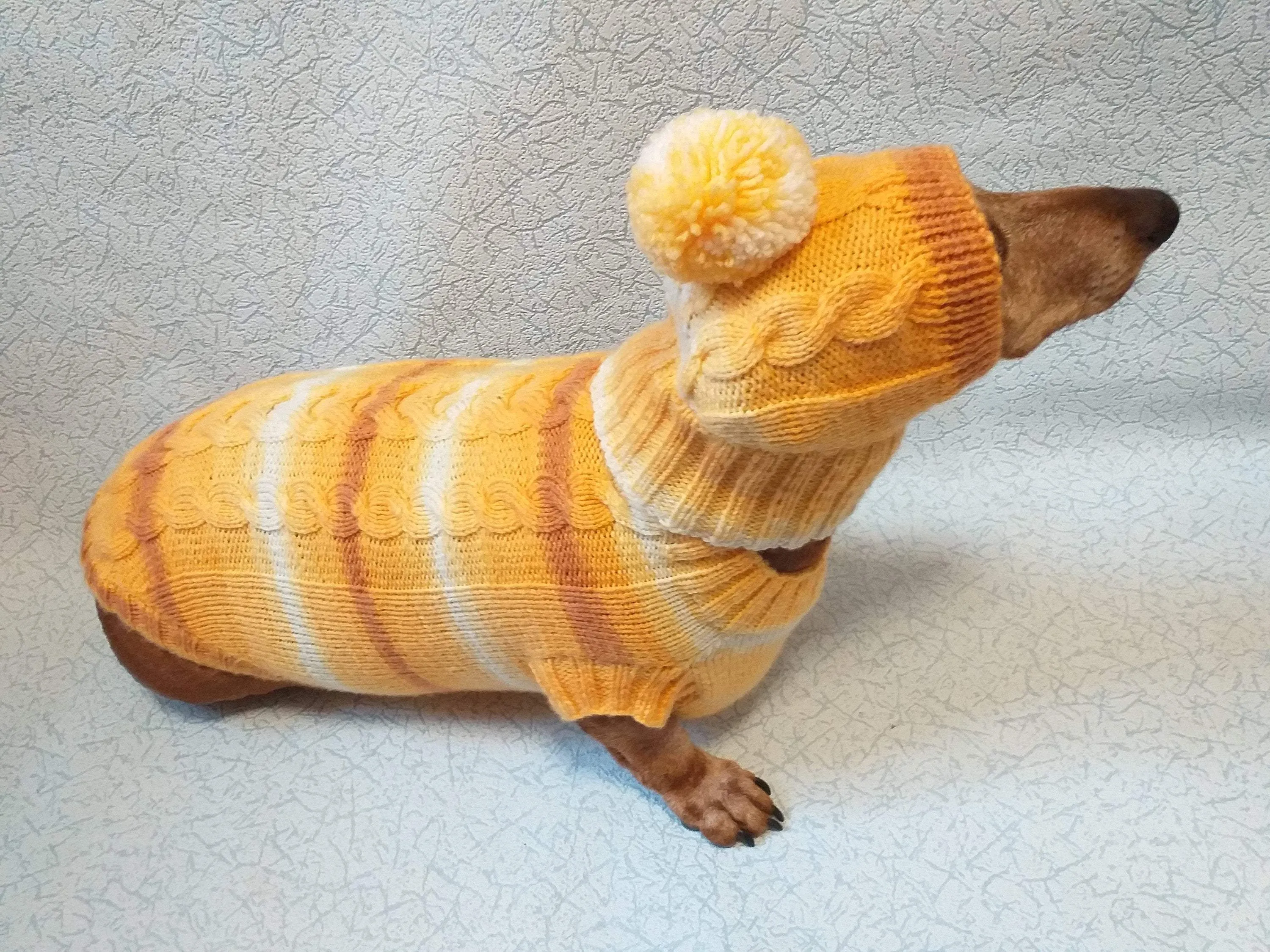 Winter warm sweater set and hat for dog, hat for dachshund