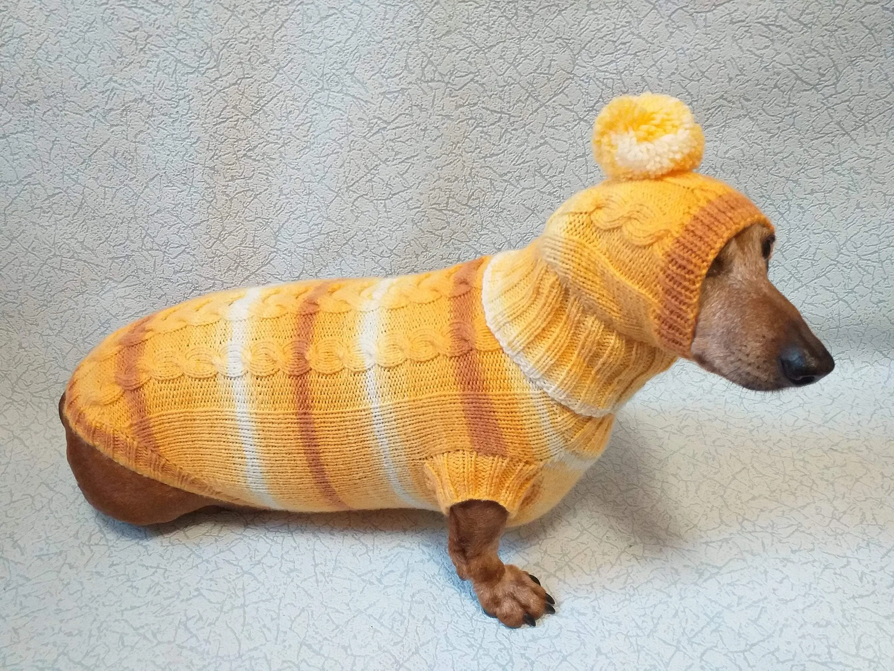 Winter warm sweater set and hat for dog, hat for dachshund