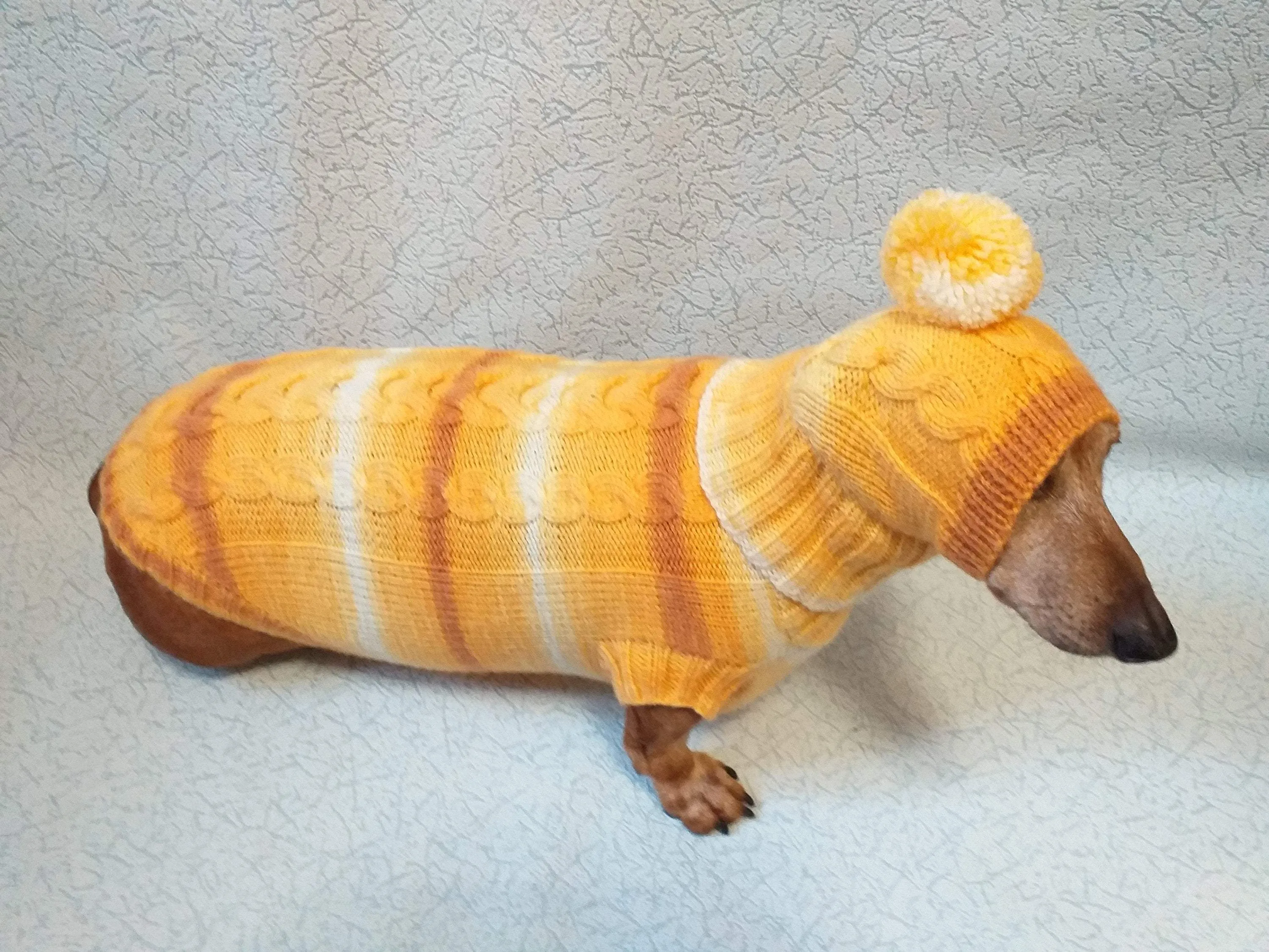 Winter warm sweater set and hat for dog, hat for dachshund